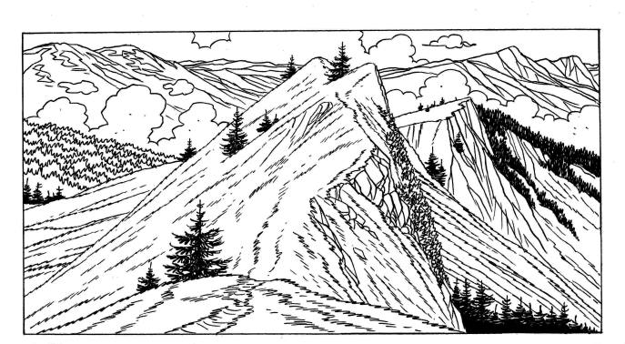 Copie de 31.10.13 (5)